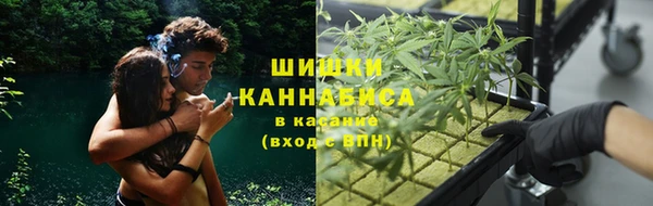 крисы Верея