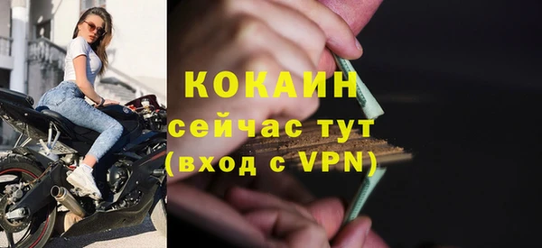 крисы Верея