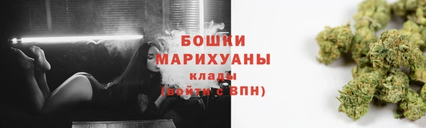 крисы Верея