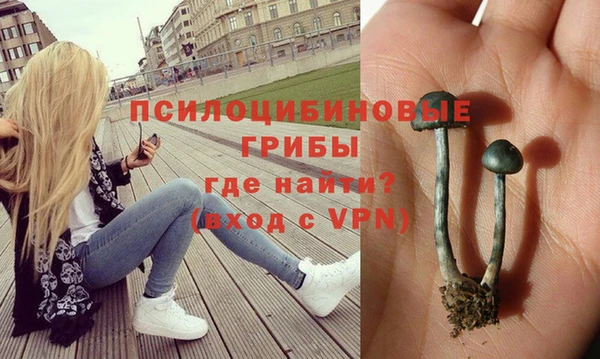 ALPHA-PVP Верхний Тагил